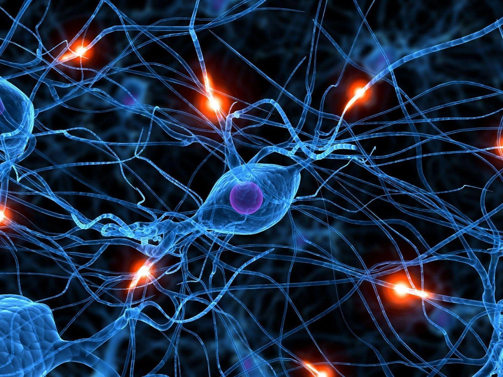 NerveCell nerve support supplement